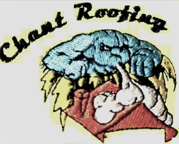 Chant Roofing–in Construction